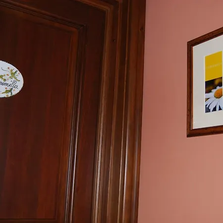 Hotel Hotel Locanda Da Carla 3*