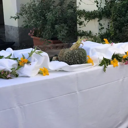 酒店 Da Carla 维杰瓦诺